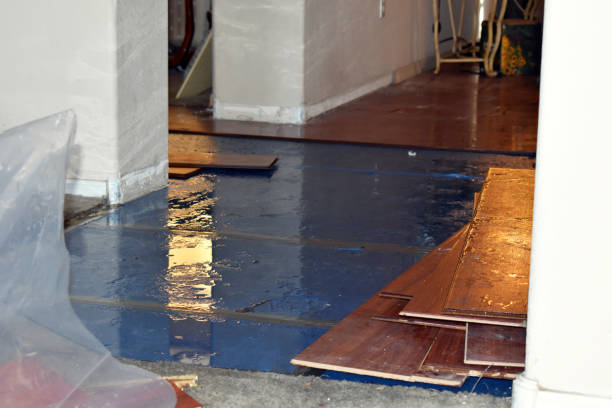 Professional Water Extraction technician working in Leaf River, IL